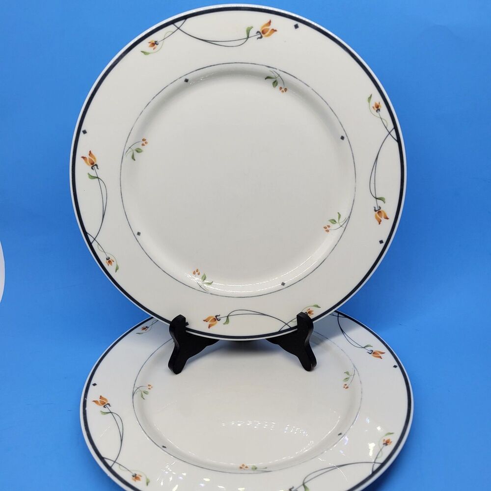 Gorham Ariana Town And Country Set Of 2 Floral 10 1/2" Dinner Plates Used GC